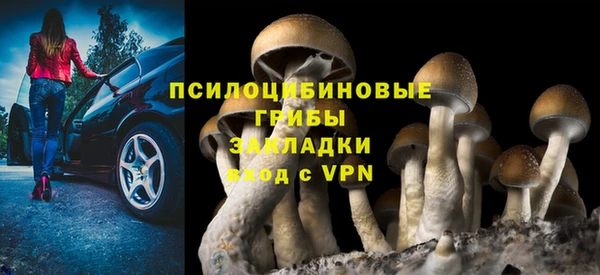 прущий лед Балахна