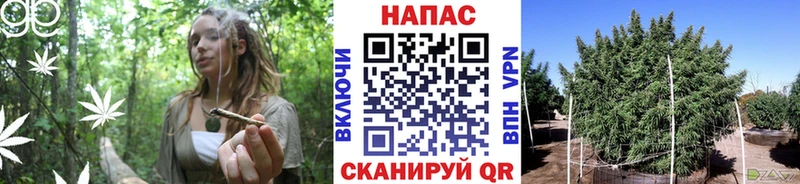 где продают наркотики  Тотьма  Марихуана VHQ 
